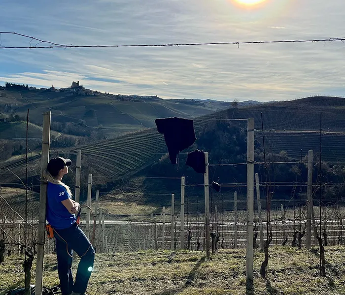 Carrossel Produtores - Ca di Press 06