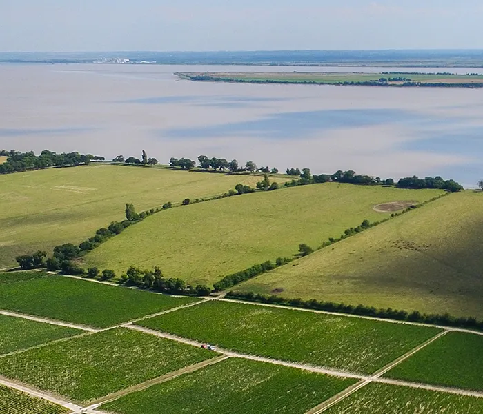 Carrossel Produtores - Giuseppe Mascarello e Figlio 02