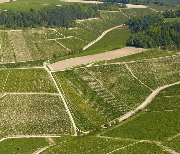 Carrossel Produtores - La Chablisienne 02