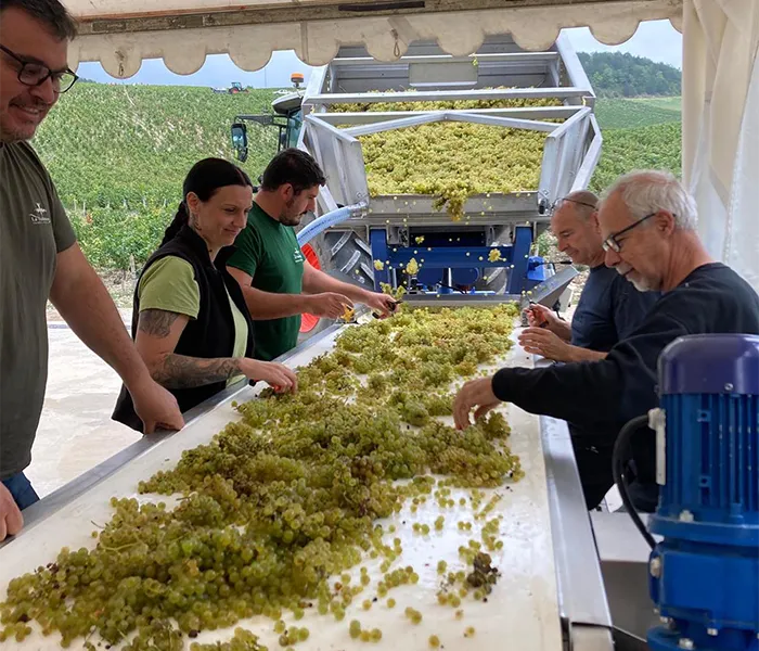 Carrossel Produtores - La Chablisienne 04