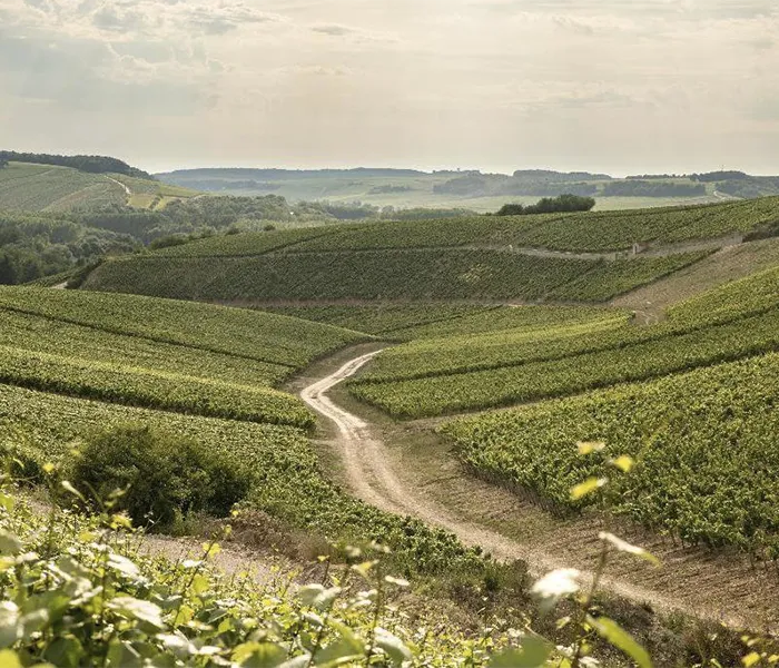 Carrossel Produtores - La Chablisienne 08