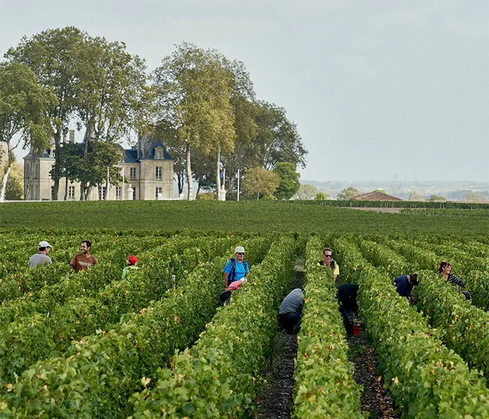 Carrossel Produtores - Pichon-Longueville Comtesse Lalande 05