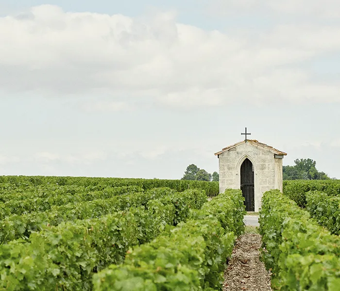 Carrossel Produtores - Pichon-Longueville Comtesse Lalande 07
