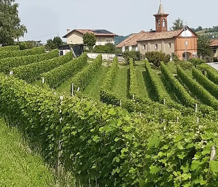 Carrossel Produtores - Piero BenevellI 04