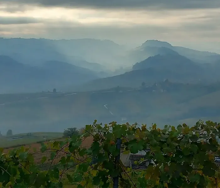 Carrossel Produtores - Piero Benevelli 01