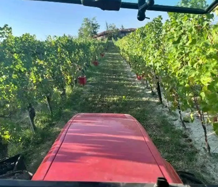 Carrossel Produtores - Piero Benevelli 05