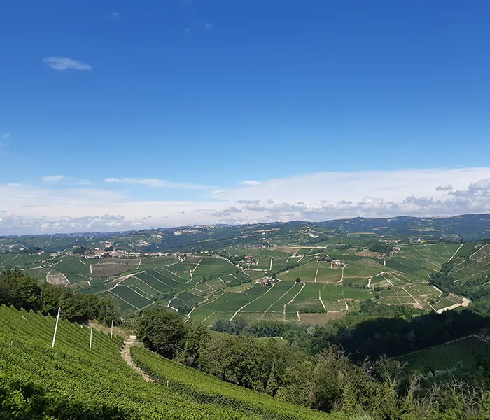 Carrossel Produtores - Piero Benevelli 07