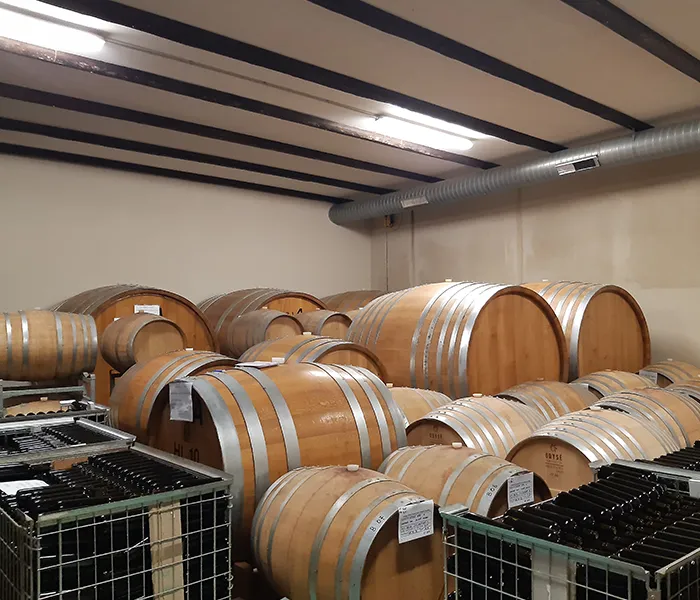 Carrossel Produtores - Piero Benevelli 08