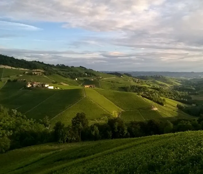 Carrossel Produtores - Piero Benevelli 09