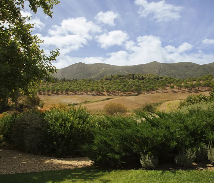 Carrossel Produtores - Quinta do Paraíso 03