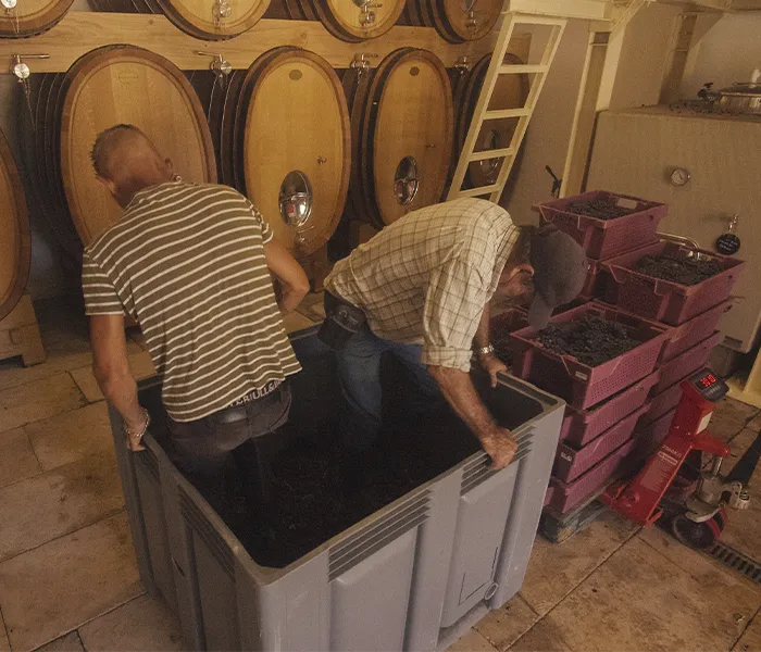 Carrossel Produtores - Quinta do Paraíso 04