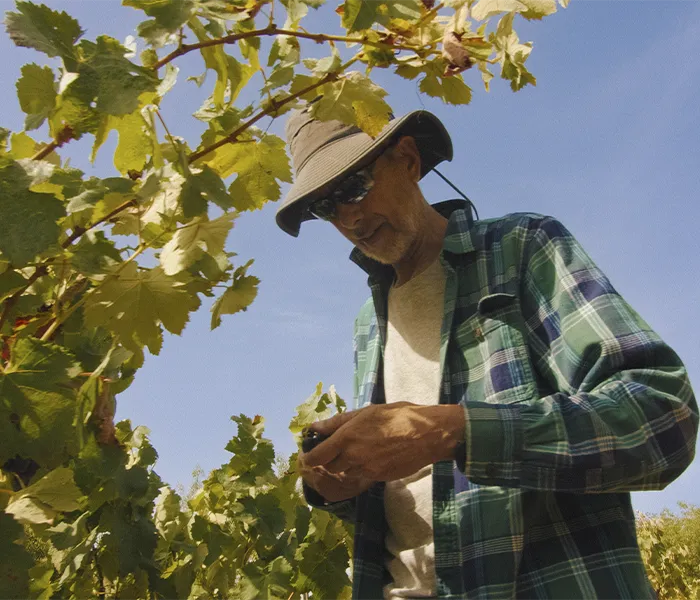 Carrossel Produtores - Quinta do Paraíso 07