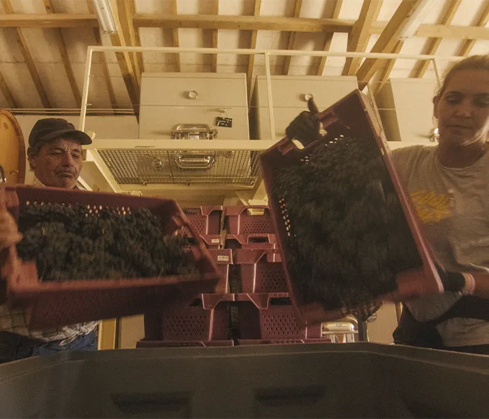 Carrossel Produtores - Quinta do Paraíso 09