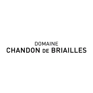 Logo_Site_Briailles