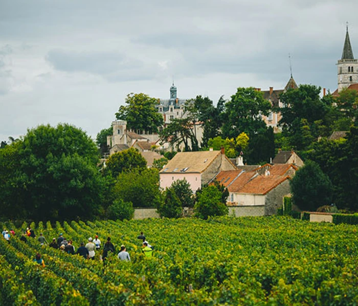 Carrossel Produtores - Dureuil-Janthial 03