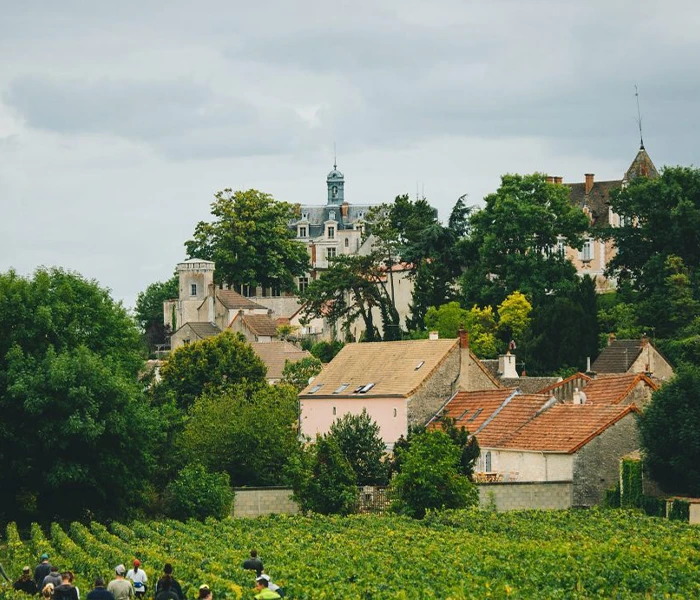 Carrossel Produtores - Dureuil-Janthial 06