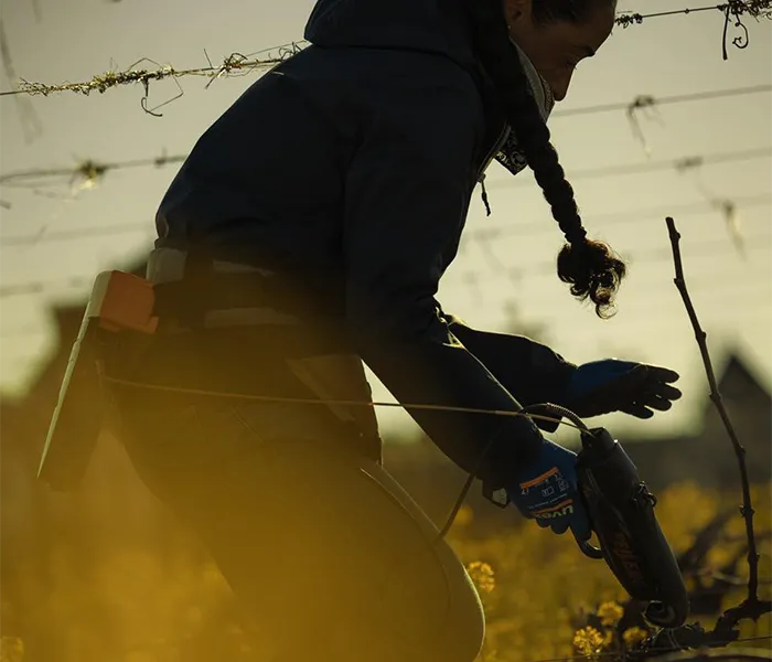 Carrossel Produtores - Fonroque 01