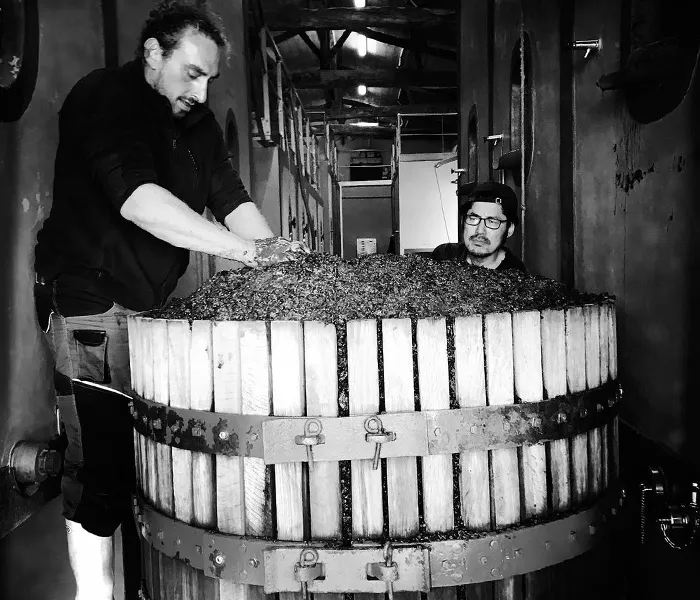 Carrossel Produtores - Fonroque 04