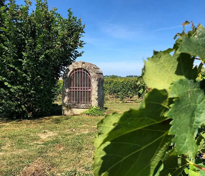 Carrossel Produtores - Fonroque 08