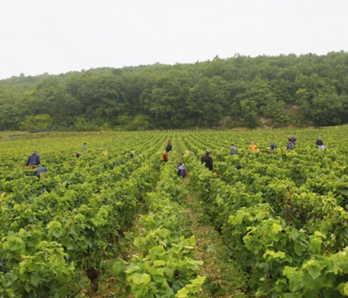 Carrossel Produtores -Fourrier 06