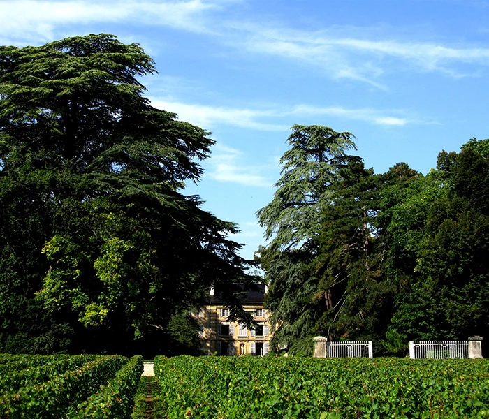 Carrossel Produtores - Henri Rebourseau 05