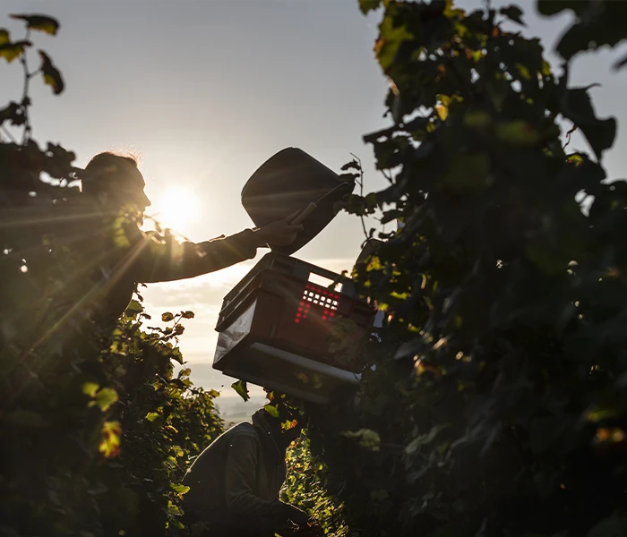 Carrossel Produtores - Henri Rebourseau 07