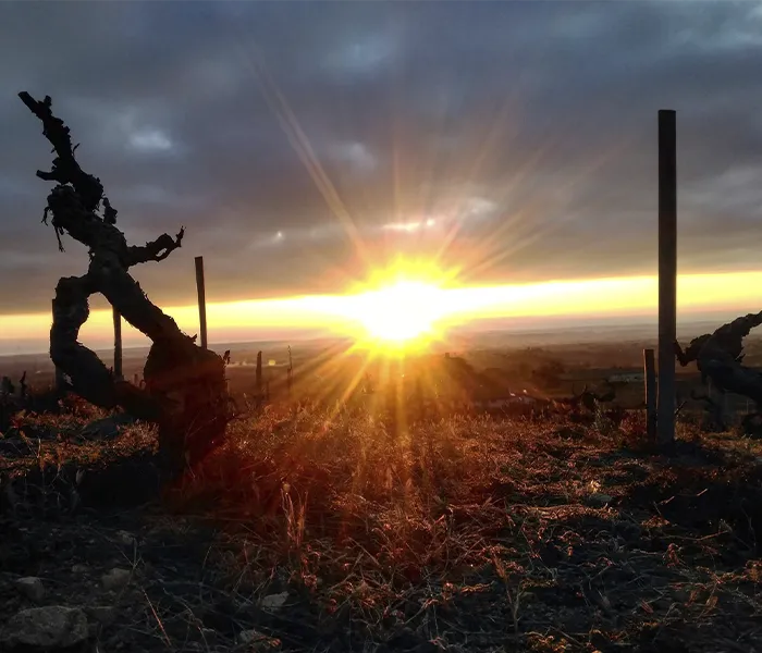 Carrossel Produtores - Lafarge Vial 06