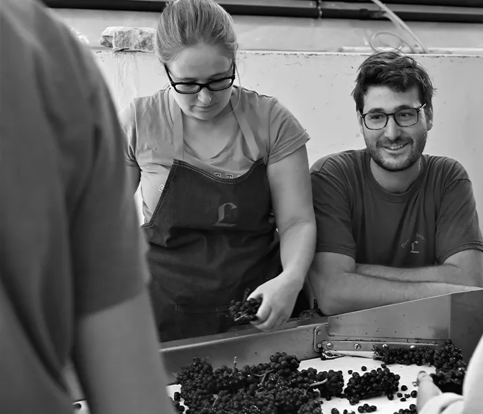 Carrossel Produtores - Michel Lafarge 04