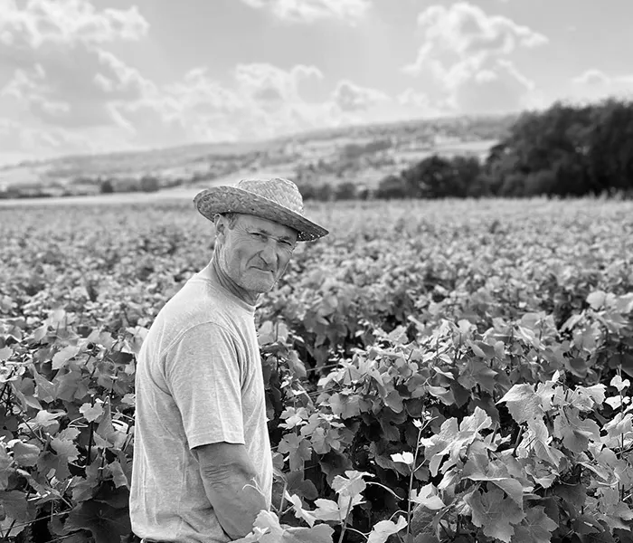 Carrossel Produtores - Michel Niellon 08