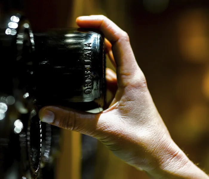 Carrossel Produtores - Ornellaia 01