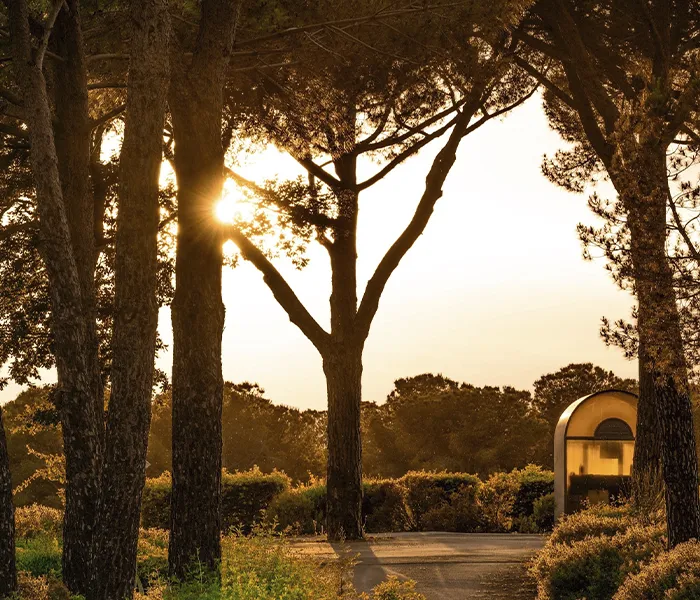 Carrossel Produtores - Ornellaia 02