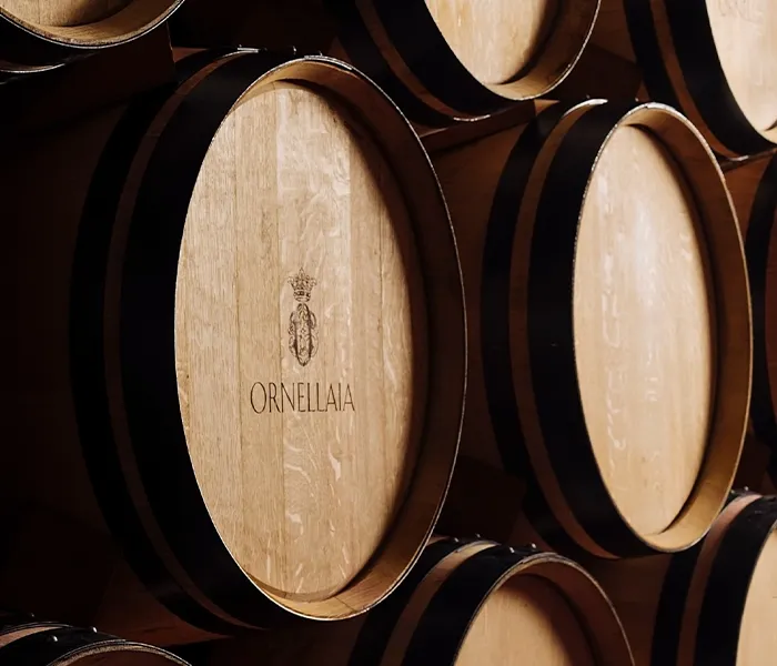 Carrossel Produtores - Ornellaia 04