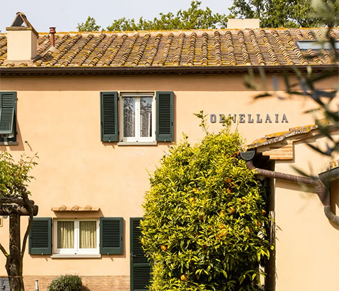 Carrossel Produtores - Ornellaia 06