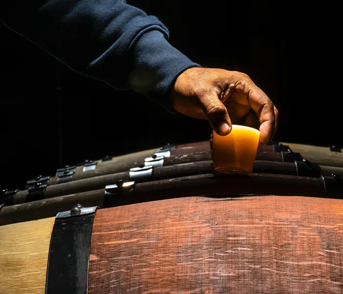 Carrossel Produtores - Ornellaia 07