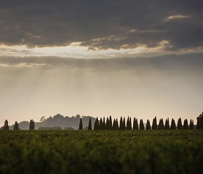 Carrossel Produtores - Trotanoy 02