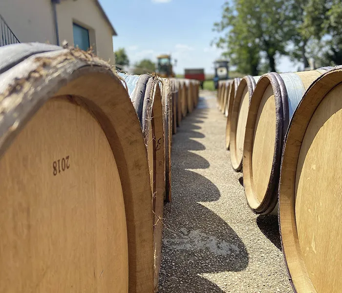 Carrossel Produtores - Alain Chavy 03