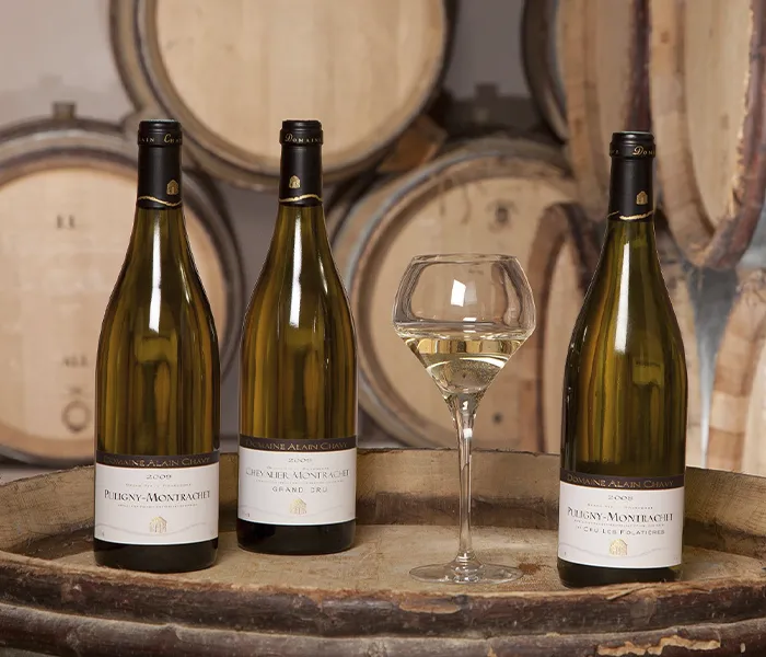 Carrossel Produtores - Alain Chavy 05