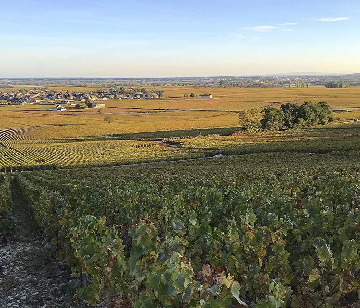 Carrossel Produtores - Alain Chavy 09