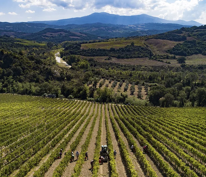 Carrossel Produtores - Casanova di Neri 07