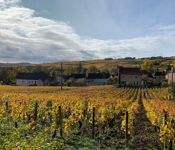 Carrossel Produtores - Cassiopée 02