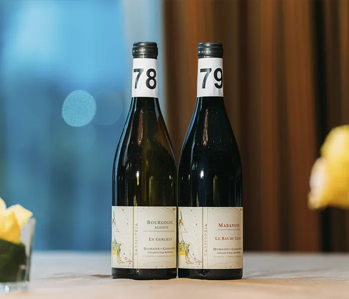 Carrossel Produtores - Cassiopée 05