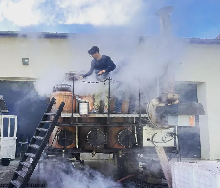 Carrossel Produtores - Cassiopée 06