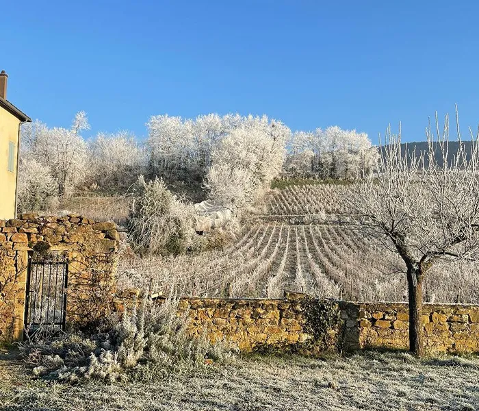 Carrossel Produtores - Cassiopée 07