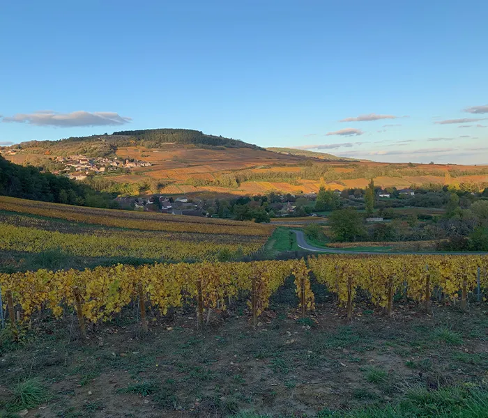 Carrossel Produtores - Cassiopée 09