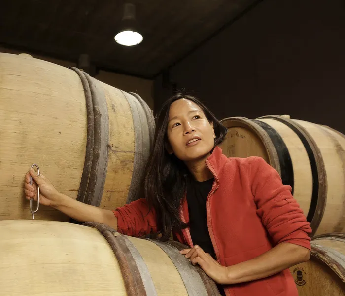 Carrossel Produtores - Chanterêves 03