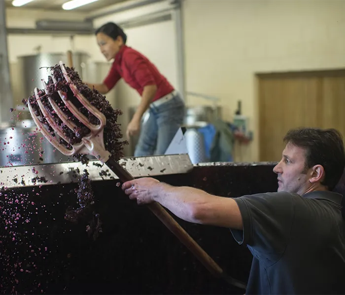 Carrossel Produtores - Chanterêves 06