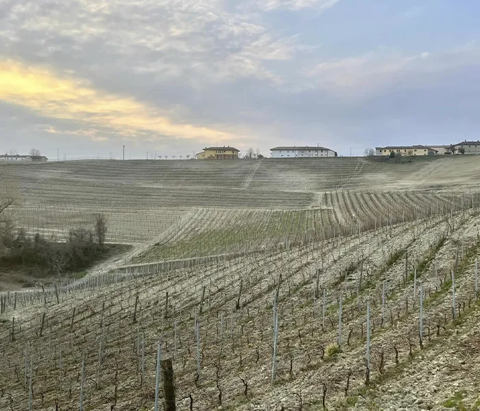 Carrossel Produtores - Chiara Boschis 05