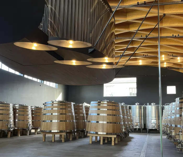 Carrossel Produtores - Chiara Boschis 06