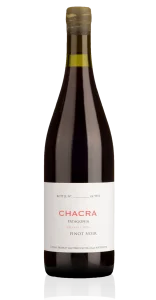 Treinta Y Dos Pinot Noir 2022