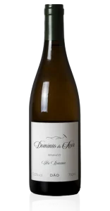 Branco Vila Romana 2023